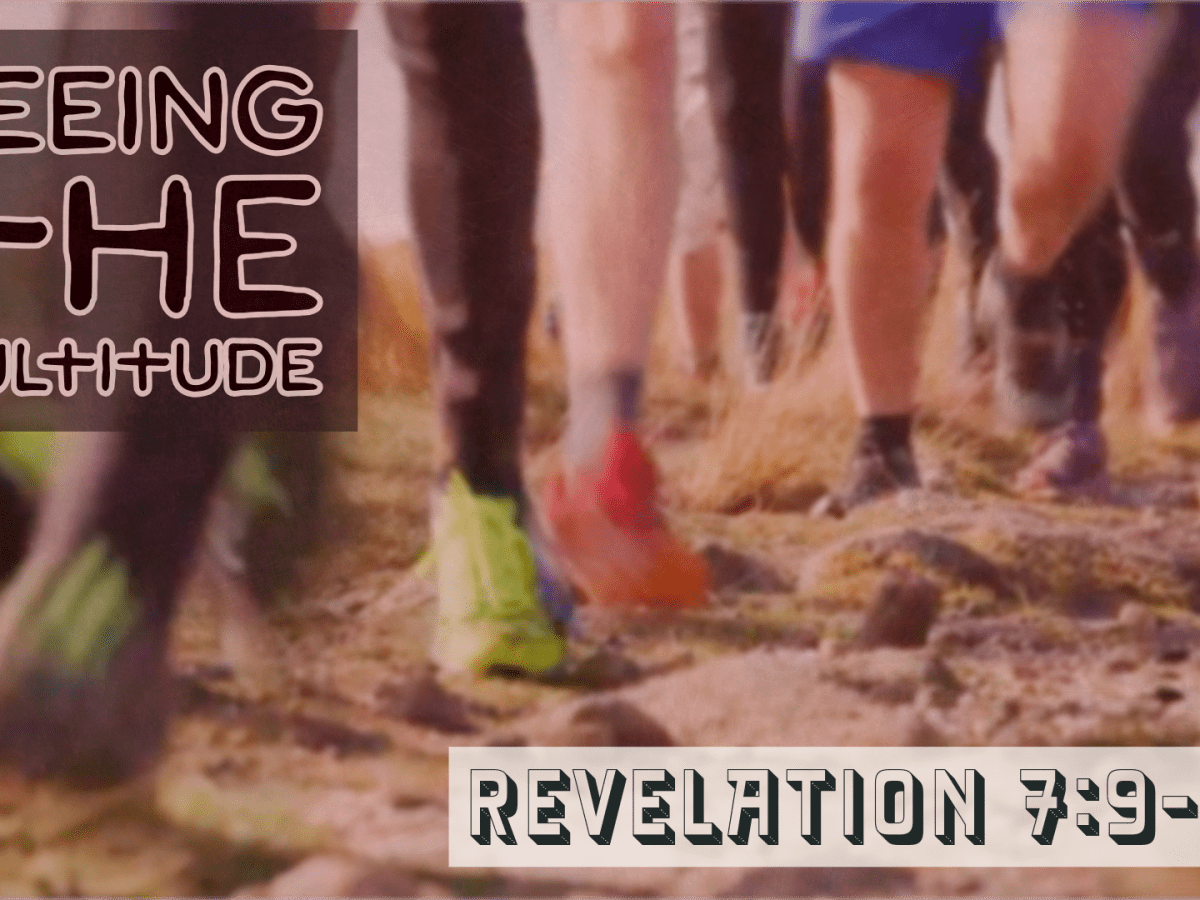 Seeing The Multitude