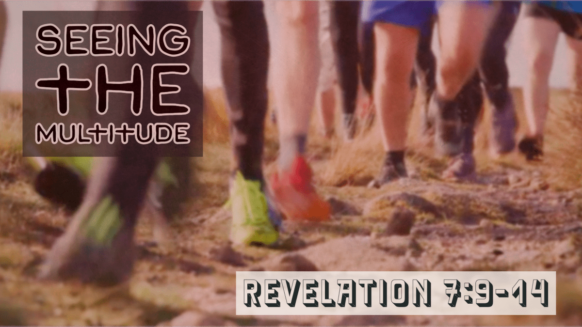 Seeing The Multitude