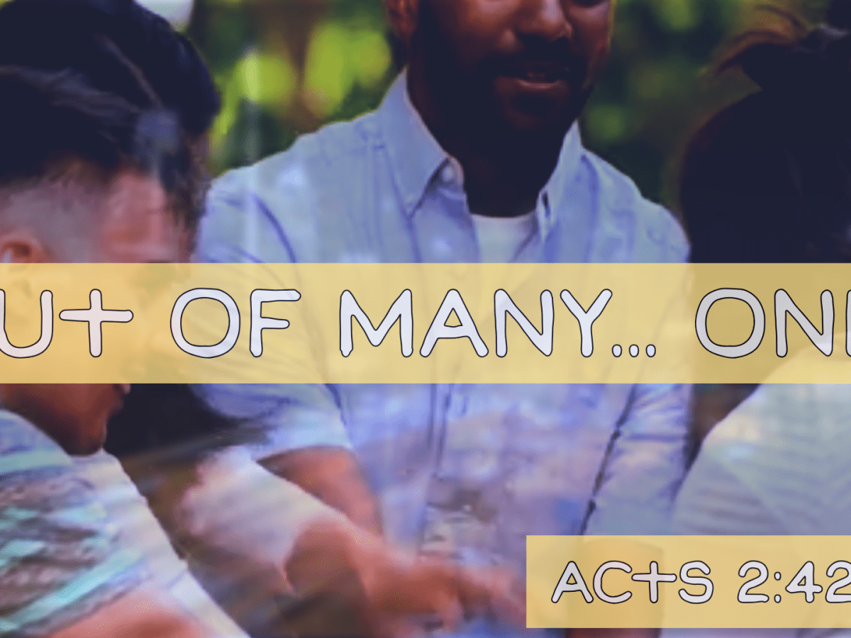Out Of Many…&nbsp;One