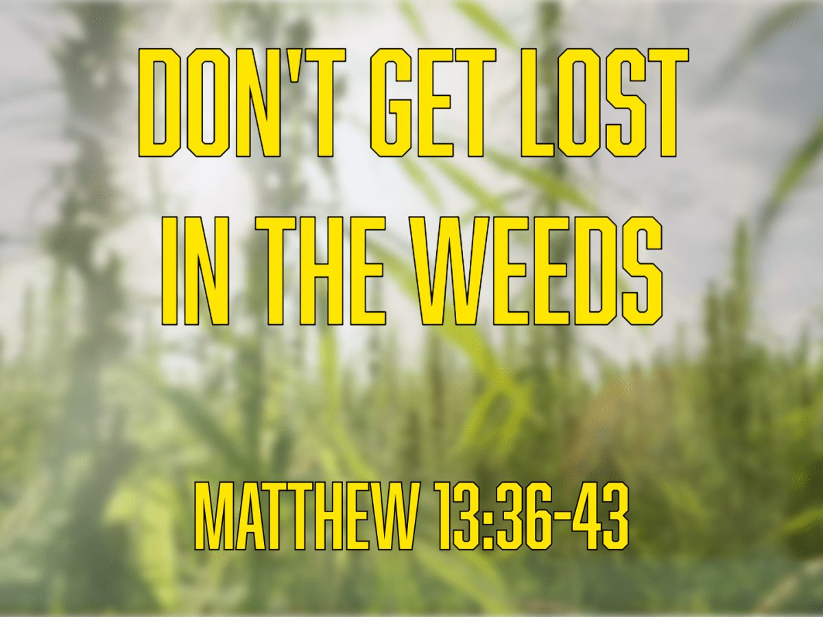 Don’t Get Lost In The&nbsp;Weeds